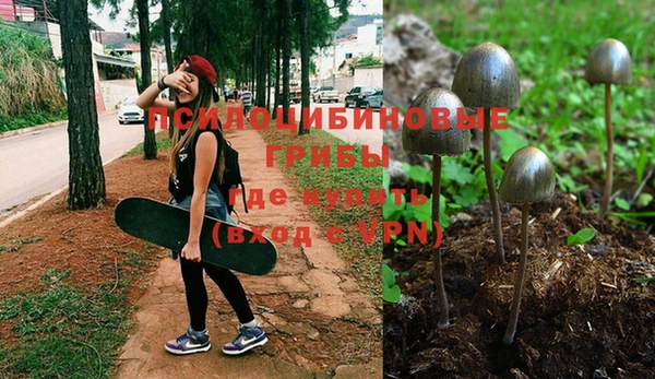 прущая мука Магадан