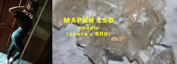 ПСИЛОЦИБИНОВЫЕ ГРИБЫ Майский