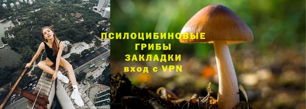 прущая мука Магадан